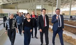 Çorum'da milletvekili adayı mimar, çiftçi oldu