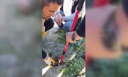 Çorum'da gider borusuna düşen kaz yavrusunu itfaiye kurtardı