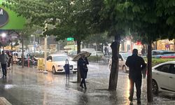 Sağanak hayatı olumsuz etkiledi