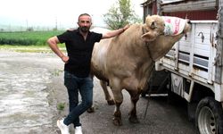 650 bin liraya alıcısını bekliyor