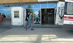 Çorum'da acemi kasaplar yine hastanelik oldu