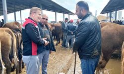 Hayvan Pazarı denetlendi