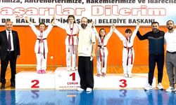 Okullu Minikler ve Küçükler Taekwondo’da en iyiler belli oldu