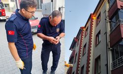 Binanın çatısına sıkışan kırlangıç kurtarıldı