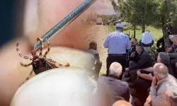 Komşuda keneden ölüm:  15 yaşındaki çocuk hayatını kaybetti