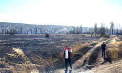 Onlarca dönüm arazi küle döndü