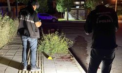 İki grup arasında bıçaklı kavga: 2 yaralı