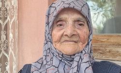 Asırlık çınar hayatını kaybetti