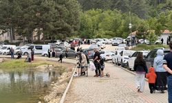 Çorum'da piknikte kalbine yenildi