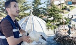 Ayağı yuvasındaki ipe takılan yavru leyleği itfaiye kurtardı