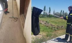 Eve giren yılanı itfaiye yakaladı