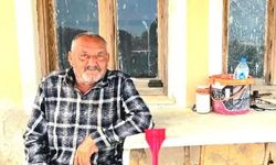 Ayı saldırısına uğrayan yaşlı adam hayatını kaybetti