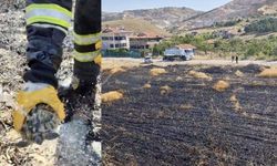 Alevler arasında kalan kaplumbağayı itfaiye ekipleri suyla serinletti