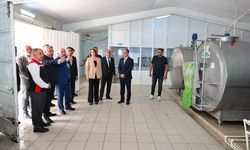 Çalgan'dan Mecitözü Süt Üreticileri Birliği'ne ziyaret
