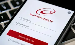 e-Devlet'e giren herkes bunu kontrol etsin! Adınıza şirket kaydı çıkabilir
