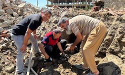 8 yavru köpeği itfaiye kurtardı