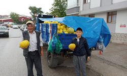 Çorum'un meşhur kavunu tezgahlarda