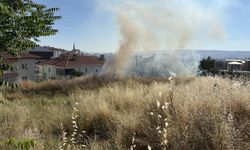 Otluk alanda çıkan yangın söndürüldü