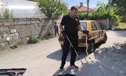 Otomobilin altına giren yılan itfaiye ekiplerince çıkarıldı