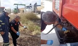 İtfaiye ekipleri yangından kurtardıkları kaplumbağayı suyla serinletti