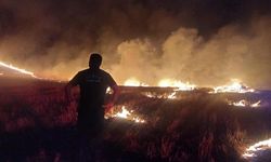 7 köyün sınırındaki arazide yangın çıktı
