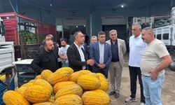 Yeni Parti sahaya indi