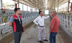 Damızlık sığır ithalatı için inceleme yapıldı