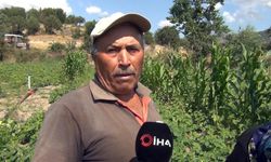 Çorumlu çiftçiler aracı olmadan pazarda ürünlerini satıyor