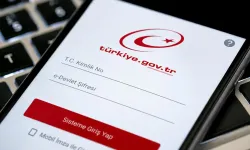 e-Devlet'ten bomba bir hizmet daha! Milyonlar aynı ekrana akın ediyor