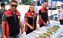 Çorum'un bu köyünde en iyi fasulyeler yarıştı