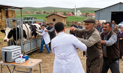 Veteriner hekim köyde saldırıya uğradı