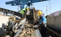 Çorum Şeker Fabrikası 200 kişi alacak