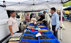Yeni kaymakam pazarı denetledi