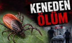 Çorum'da kene can aldı!
