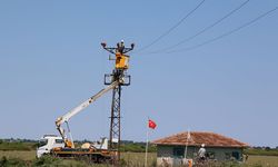Leylekler için elektrik direklerine yuva, kuşlar için tellere izolasyon