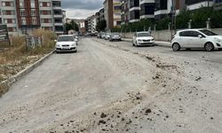 Yola çamur döken kamyona 20 bin lira ceza yazıldı