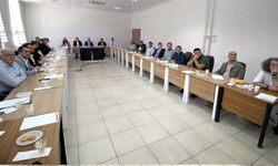 Acil sağlık hizmetlerini istişare