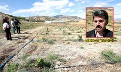 120 dekarlık verimsiz arazi tarımsal üretim tesisine dönüştü