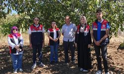 Ceviz bahçeleri denetlendi