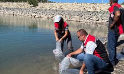 Çorum'da gölet ve barajlara binlerce yavru balık bırakıldı
