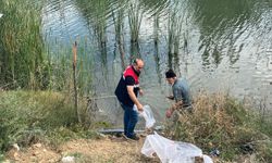 Gölete yavru balık bırakıldı