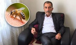 Arı sokması sonucu hayatını kaybetti
