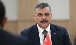 Türkiye'deki sokak hayvanlarının yüzde 99,7'sinin toplandı