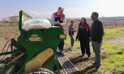 Çorum'un bu köyünde hem ekim de hem hasat yapıldı