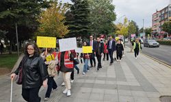 Görme engellilerden farkındalık yürüyüşü