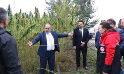 Üreticiler kenevir yetiştiriciliği hakkında bilgi aldı