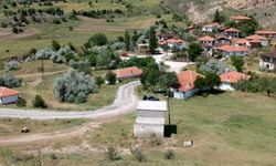 Çorum'da iki köyde hazine arazileri satışa çıkarıldı