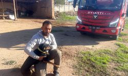 Su kuyusuna düşen köpek itfaiye ekiplerince kurtarıldı