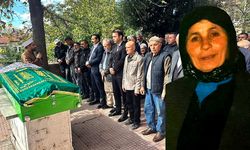Şehit annesi hayatını kaybetti