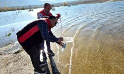 Ekipler sulardan numune aldı